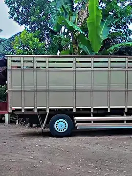 Ready 2001 pajak kir baru#jualbelitruksecond #ragasatrucklovers #fypage #fppppppppppppppppppp #drivermuda 