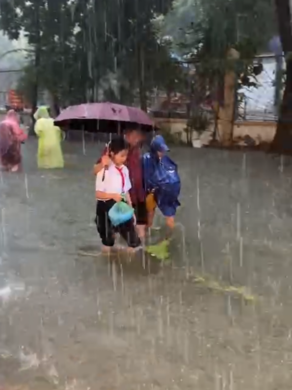 Vịnh Triều Khúc view từ Mixue Tân Triều đây các bác ơi. Mong mọi thứ sẽ ổn trở lại ạ 🥹