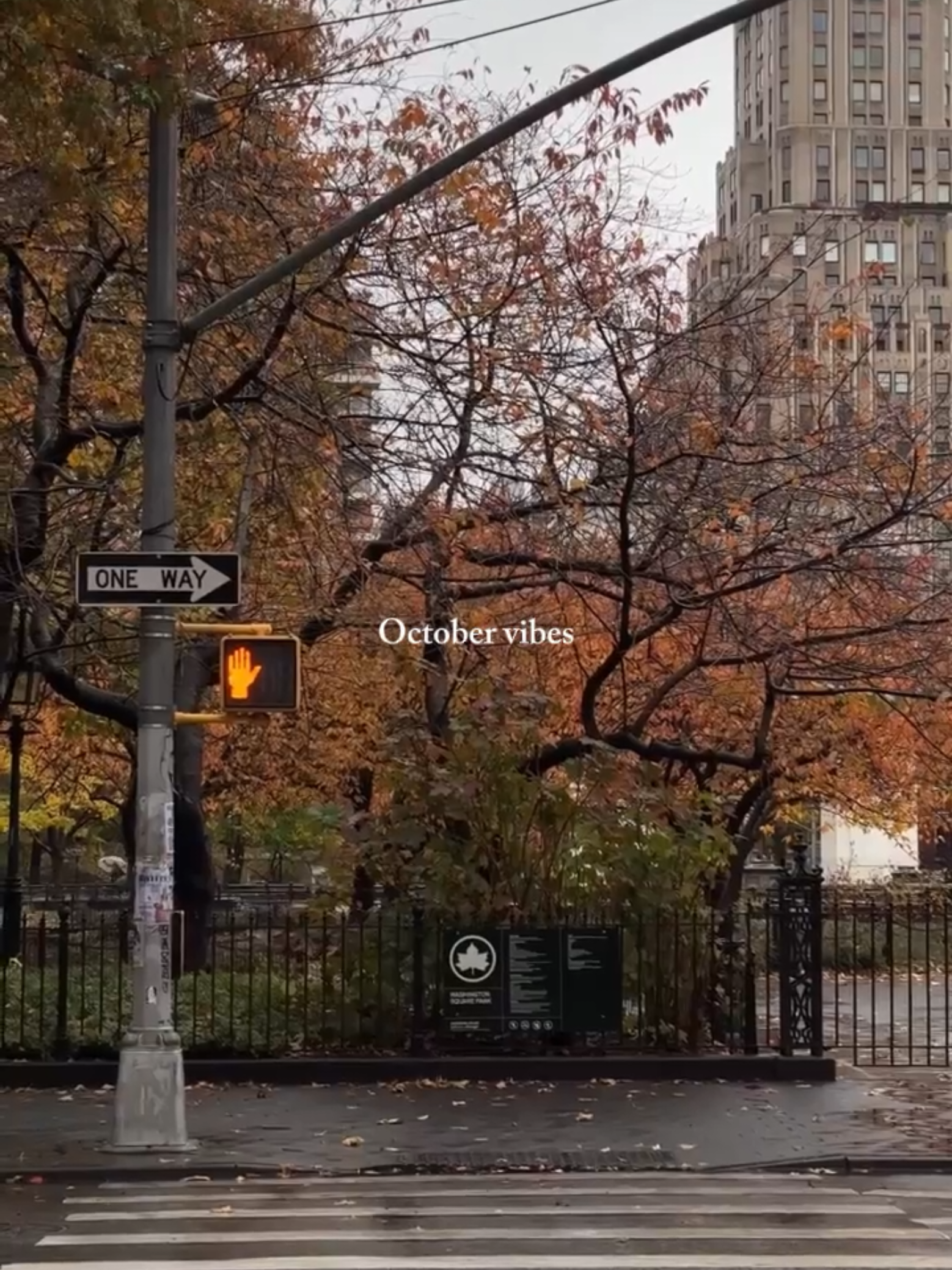 cr#pinterest #pinterestvideos #fall #october 