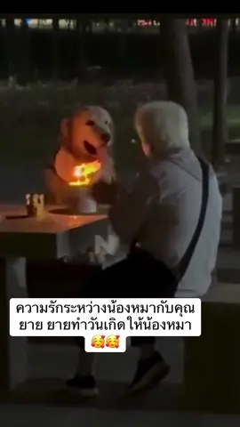#ความรักระหว่างน้องหมากับคุณยาย ยายทำวันเกิดให้น้องหมา#น้องหมา กับคุณยาย#🥰🥰