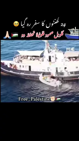 اللہ پاک سب قافلے کو صحیح سلامت منزل مقصود تک پہنچاۓ اورکامیاب کرے آمین  #globalsumudflotilla #freegaza #freepalestine #foryoupage #trending 