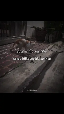 ขอให้เป็นตุลาที่ดีน้าเธ๊อวว😾💖#แฟน #เธรด #แท็กแฟน  #ลงสตรอรี่ #ลงสตรอรี่ได้  
