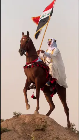 اليوم الوطني العراقي  🇮🇶✨  #اليوم_الوطني_العراقي #اليوم_الوطني #اليوم_الوطني_العراقي🇮🇶 #ابوخديجة_الشيخ_حمد #خيل #خيل_وخياله🐎 #خيل_عربي #خيل_عربي_اصيل #خيل_وخياله🐎🖤ماشاءالله #خيل_عربي_اصيل🐎🐎 #صهيل_الخيل 
