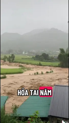 Bão bulu # ngẫm từng năm nhuận mà coi#lamnguoi #tunhien #apluccuocsong #chanlycuocsong #conhanday  