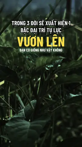 Bậc đại trí thay đổi vận dòng họ#ngộ_để_an #phatphapnhiemmau #trending #xuhuongtiktok #cliptrieuview 