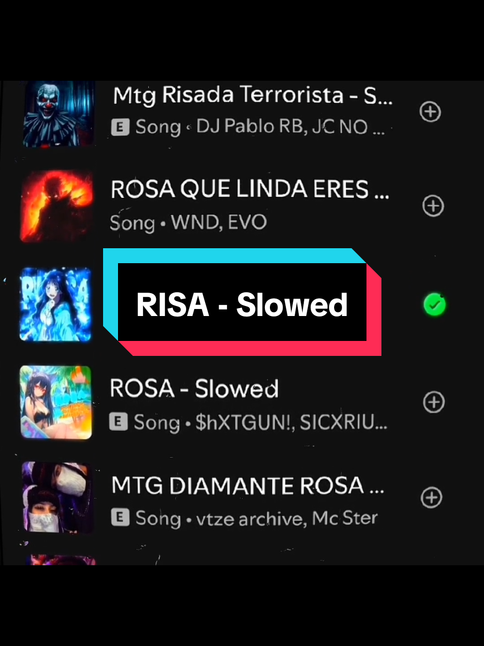 RISA - Slowed #spotify #audio 