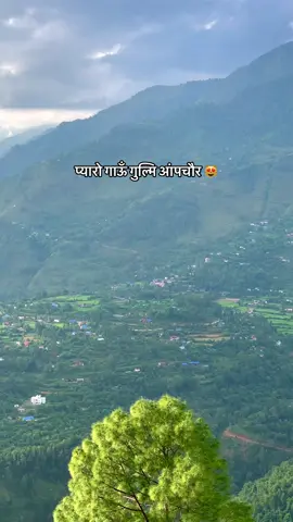 Gulmi Apchour ❤️‍🩹😻#gulmi #gulmimuser💚 