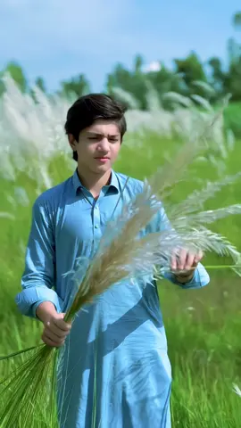 Za la khpal singar la #viral #viralvideo #foryoupage #foryourpage #foryoupageofficiall 