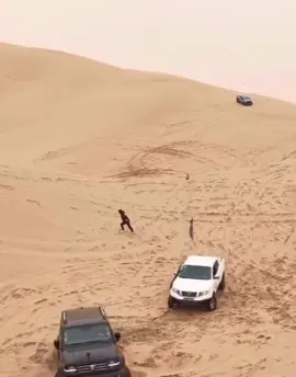 #تانك300 #تطعيس #tank #tank300 #fyp 
