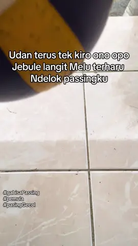 Langit yo iso sedih barang Ndeleng passing gecolmu #fypシ゚ #masukberanda #voli #4u #bahanswmu 