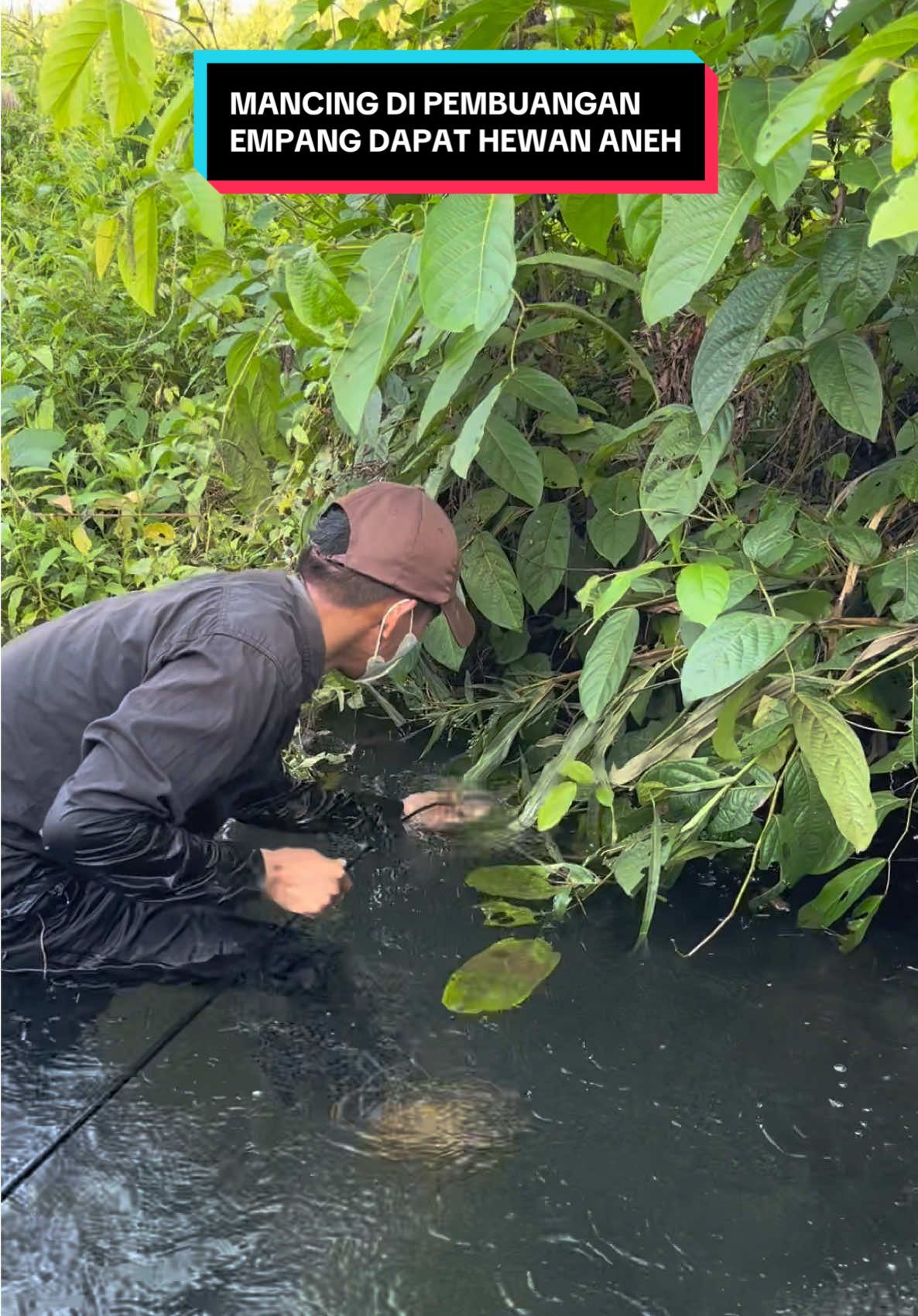 Mancing di pembuangan empang #kalemaja lgs strike bertubi-tubi🔥 #indo1team #mancingliar