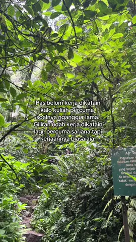Yg penting kerja dulu aja ga sih? org mana tau gmn rasanya susah cari kerja, dan ngubur bbrpa cita