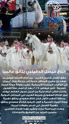 انتاج فيصل بن جفين الدغيلبي يتألق عالمياً  #منصة_قبيلة_الدغالبه #الخيل 