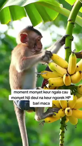 bener!!! #fff #story #meme 