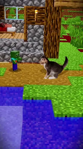 #Minecraft #cat #edit 