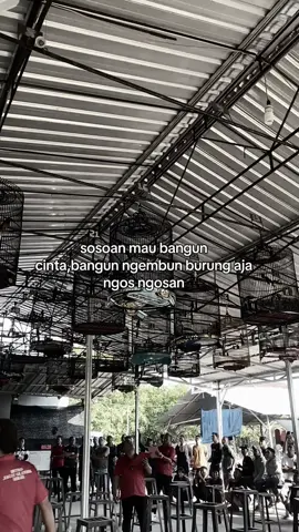 nggak mungkin bisa  #kicaumaniaindonesia #kicaumanianusantara #fyp #kicaumania #CapCut 
