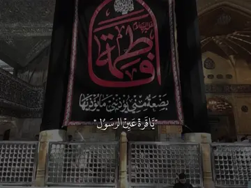 يَامَولاتَنا يَافَاطمةْ يَابنتْ مُحَمد…🤎🎧#ستوريات_حسينيه #ياابا_الفضل_العباس #fypシ #foryoupage #لايك__explore___ 