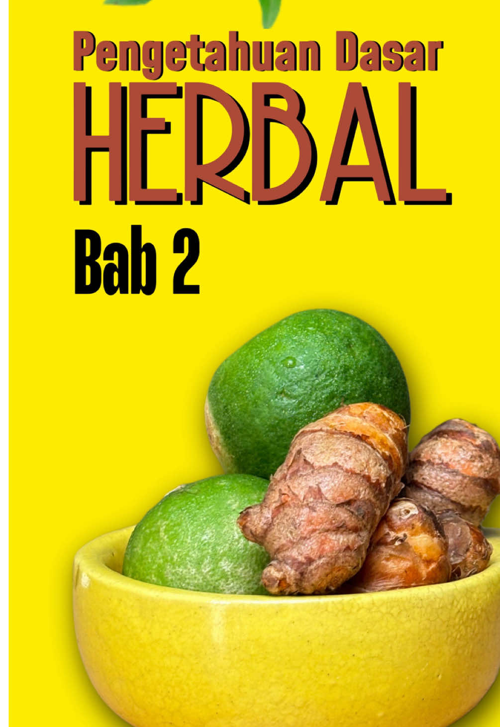 Pernah Lihat Logo ini pada Obat Kemasan? #herbal #jamu #oht #fitofarmaka 