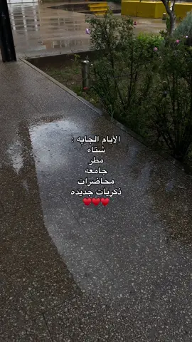 #البيضاء_الجبل_الاخضر #ليبيا🇱🇾 #explore#ليبيا_بنغازي_مرج_بيضاء_شحات_درنه_طبرق #هواجيس 