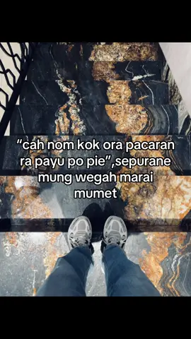 hihihi critt
