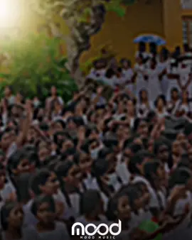 ජීවිතේ ප්‍රශ්න අඩුම කාලේ ජීවිතේ සුන්දරම කාලේ ආයේ ඒ කාලෙට යන්න තිබුණා නම් කියලා හිතුන වාර අනන්තයි. ඉතින් ඔයාලා හැමෝටම සුභම සුභ ලෝක ළමා දිනයක් වේවා. ❤️🌼 #nostalgic#foryou #mood #feel #video #1 #viral #fyp #Love #song #tiktok #mood_music_1 #ceylon_tik_tok #1m #10m #srilanka #foryoupage #trending #sinhala #foryou #4u 