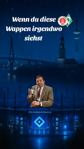 Ist doch so oder?@hsv_official #Bundesliga #fyp #hsv #hamburg #CapCut 