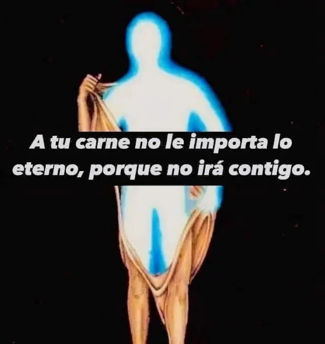 Cuando habló de que la carne no busca lo eterno, me refiero a que esta no busca el reino de Dios, esta naturaleza carnal es contraria al Espíritu, y no nos acompañará al reino de Dios, asi que despojate de la vieja Criatura y revístete del nuevo hombre que es a la imagen de Cristo, no usemos el cuerpo para practicar el pecado. No reine, pues, el pecado en vuestro  cuerpo mortal, de modo que lo obedezcáis en sus concupiscencias; ni tampoco presentéis vuestros miembros al pecado como instrumentos de iniquidad, sino presentaos vosotros mismos a Dios como vivos de entre los muertos, y vuestros miembros a Dios como instrumentos de justicia. Romanos 6:12-13