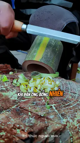 Khi bị ngó lơ phải làm sao #phattrienbanthan #trithuc #giaotiep 