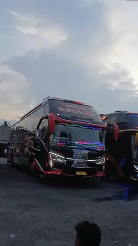 moal gagal pokok nmah🥰💃💃#newgmtrans #zeta #mariobros #bahansw #teamewehkabosen @Adep14 @Psshopiani🦄 @official_mariobros012 @azzahra225 @Fahmi Fdp @newgmtrans @kemall @Zeta Advanced Tech 