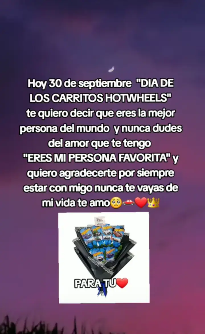 amorcito no te pude regalar tus carritos bb 🥺 pero escribo estás líneas para decirte cuánto te amo 😚💗 eres el mejor novio del mundo 😘 🌍 le agradezco mucho a dios por averte puesto en mi camino te amo con toda mi alma eres mi persona favorita 😚😍tu y yo por siempre mi cielo hermoso 😘 🥹 😚 💗 🥹 P M🥹💗😚