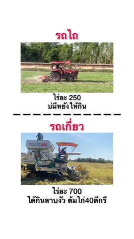 #รถเกี่ยวข้าวอุบล🌾🌾🌾amata #วัยรุ่นขับเฟือง #เเซ๊คหลักชัย #ปานเจริญการช่าง 
