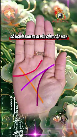 #phongthuytamlinh #xuhuong #xemchitaymienphi #xemchitaymienphi #xemchitayonline 