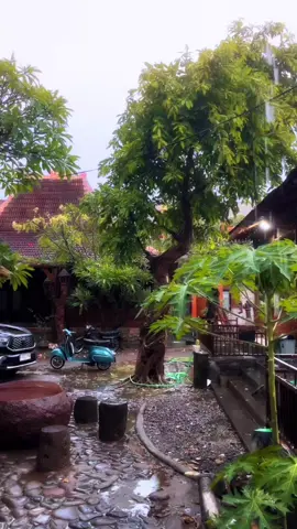 hanya besi tua dan rumah kayu #saka9nurulqadim3 #vespa 