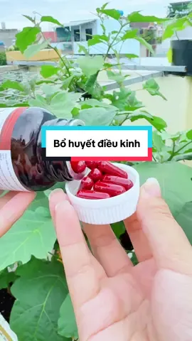 Viên uống bổ huyết an kinh hỗ trợ điều hoà chu kỳ, giảm đau bụng, bổ huyết đẹp da #roiloankinhnguyet #dieuhoakinhnguyet #bohuyetankinh #quynhthienshop 