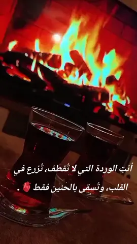 #مساء_الحب_والسعاده_متابعيني💕 #متابعه_ولايك_واكسبلور_فضلا_ليس_امر 