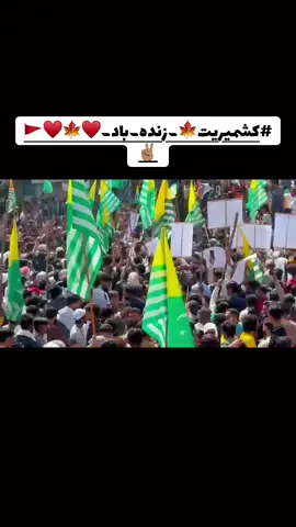 #کشمیربنےگا_خود۔مختار #standwitbkashmir #awamiactioncommittee_azadkashmir #100kviews✔️tiktok 