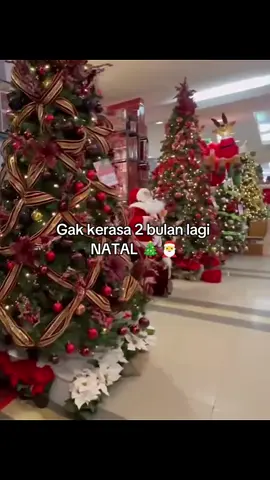 2 bulan lagi guys 🎄 #natal #merrychristmas #2025 #katakata #fyp 