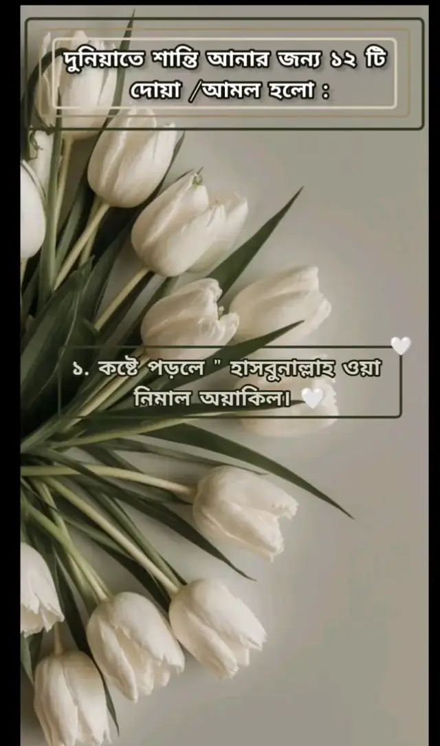 #استغفروا_الله #استغفروا_الله #استغفروا_الله_إن_الله_غفور_رحيم #اللهم_صل_وسلم_وبارك_على_نبينا_محمد🌹💙 #اللهم_صلي_على_نبينا_محمد💓🕋📿 #القران_الكريم♥️🌼 #صلوات_الله_عليك_يا_حبيبي_يا_رسول_الله#استغفروا_الله #استغفروا_الله #استغفروا_الله_إن_الله_غفور_رحيم #اللهم_صل_وسلم_وبارك_على_نبينا_محمد🌹💙 #اللهم_صلي_على_نبينا_محمد💓🕋📿 #القران_الكريم♥️🌼 #صلوات_الله_عليك_يا_حبيبي_يا_رسول_الله 