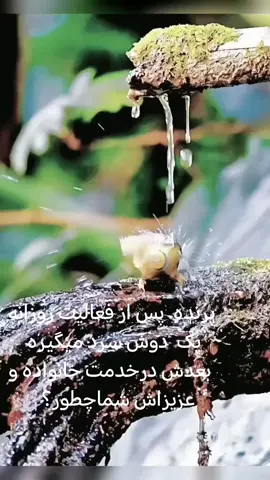 رفتار او سرمشق خوبی برای برخی انسانها ست 