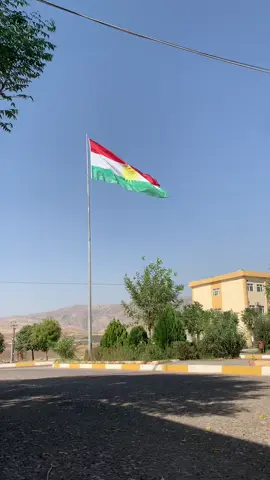 ❤️☀️💚 #kurdistan #surchi ❤️‍🔥