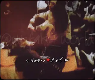 Audio is different from video ❤️ #Original_Dama_Dam_Mast_qalandar 👑👏🏻 #nusratqawalis #nfakvibes #foryou_nfakfans #nfakstatusvideoa Master piece 
