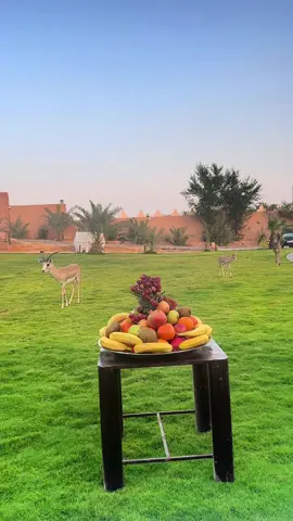 #اجرها_لأبي_وامي #اجر_لي_ولكم_ولوالديكم_وللمسلمين 