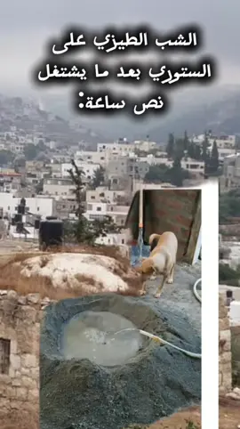 #CapCut #صوريف #الخليل #فلسطين 