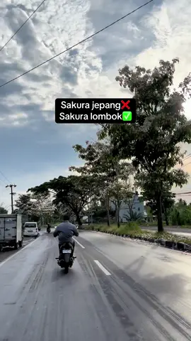 Masyaallah pemandangannya #pyf #rikimartin #lomboktiktok #lombok 