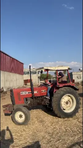 Genç kaptan 😅