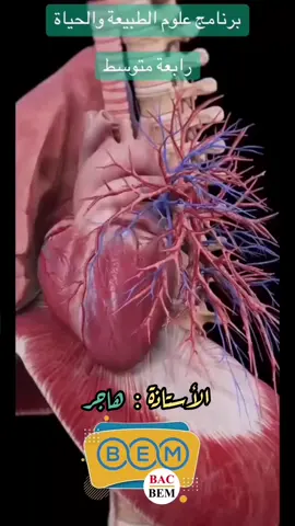 علوم طبيعية السنة الرابعة متوسط BEM مع الأستاذة هاجر #السنة_الرابعة_متوسط_2026 #bem #BEM2026 #دروس_الرابعة_متوسط #viral 