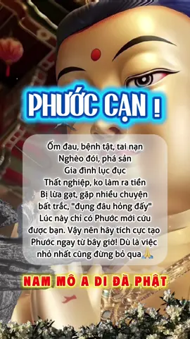 NAM MÔ A DI ĐÀ PHẬT #loiphatday #buddha #phatphapnhiemmau 🙏🙏#chepkinh #chepkinhdiatang                   