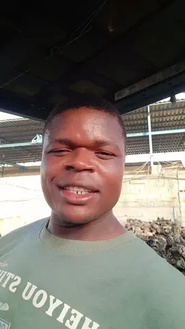 bilala samshaa