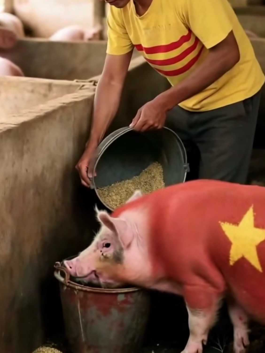 🐷+🐕+🐒= #vietnam #hochiminh #parky 