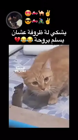 ana miskin 😩😩#foryourpage #fyppppppppppppppppppppppp #foryourpagetiktok #fy 